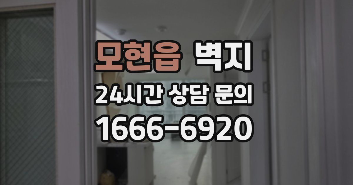 모현읍 벽지