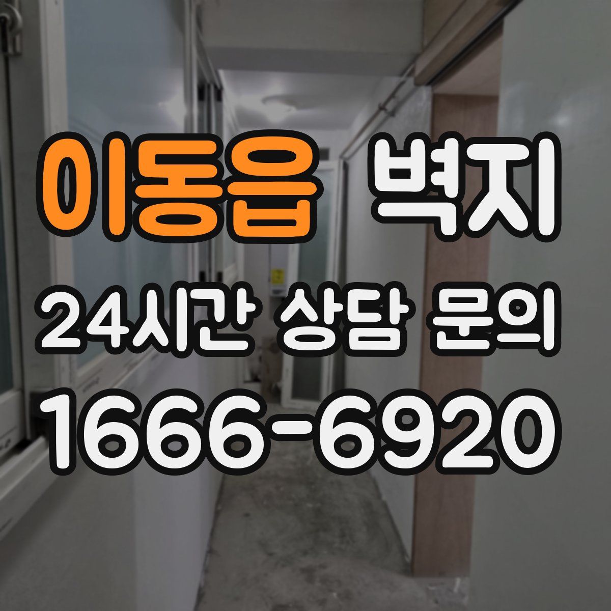 이동읍 벽지