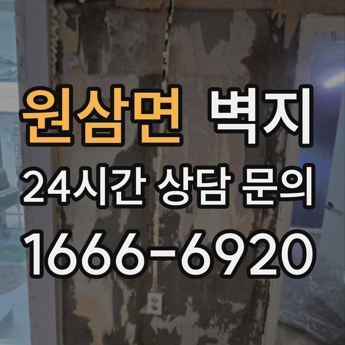원삼면 벽지