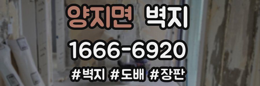 양지면 벽지