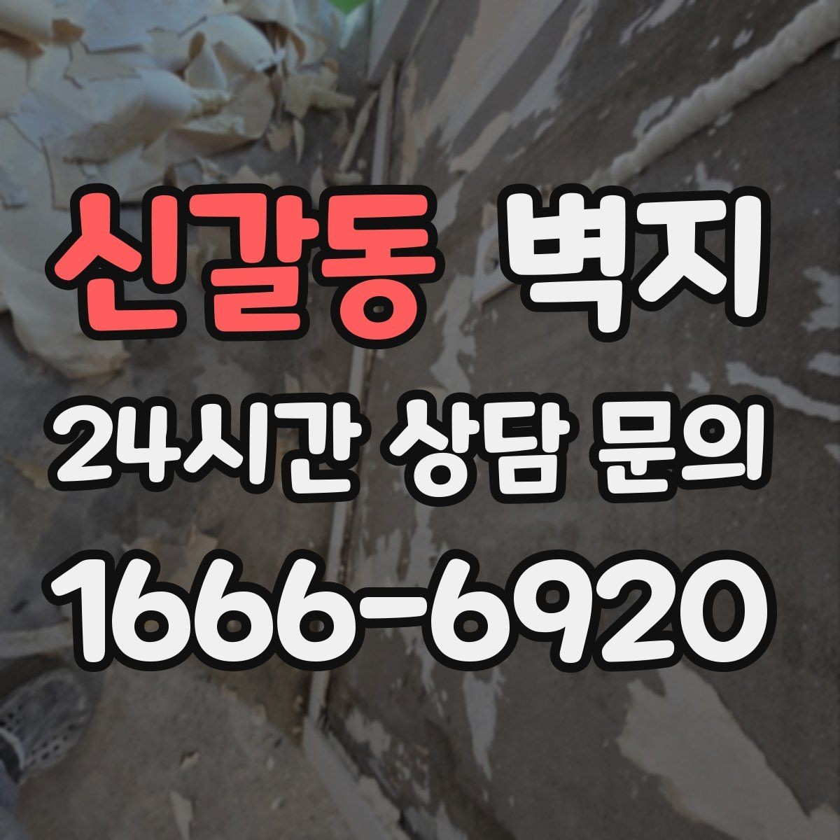 신갈동 벽지 선택에 앞서 집 구조를 고려해야 하는 이유