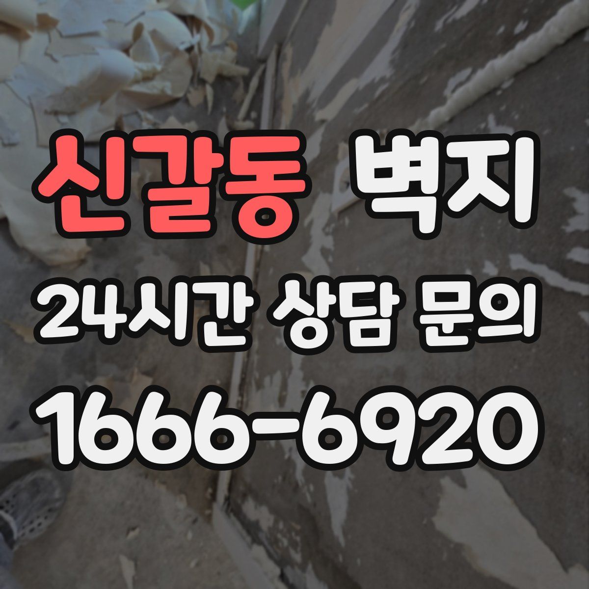 신갈동 벽지