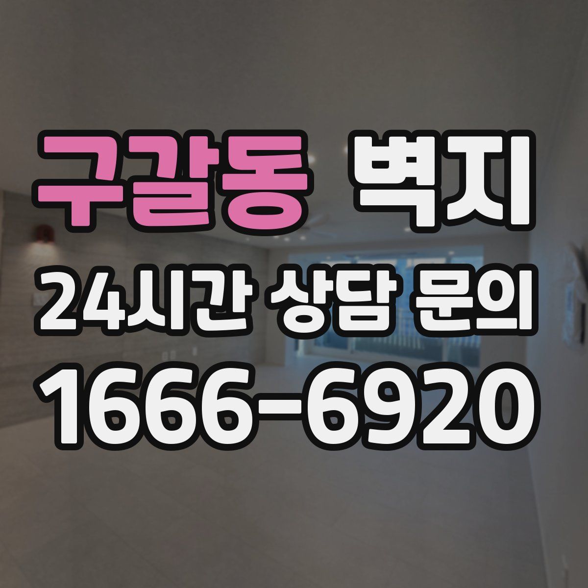 구갈동 벽지