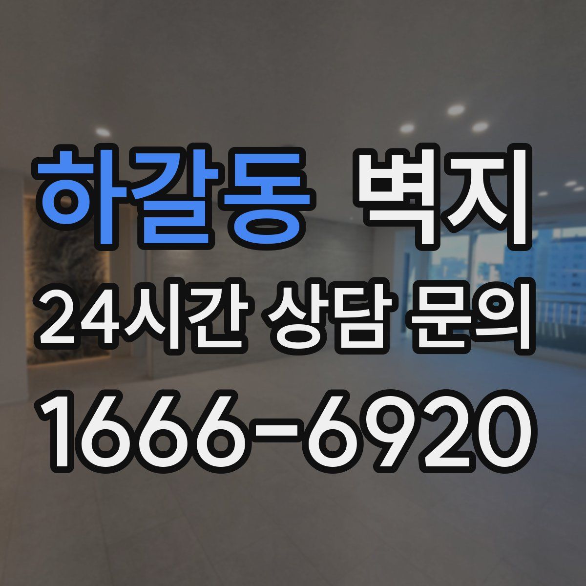 하갈동 벽지