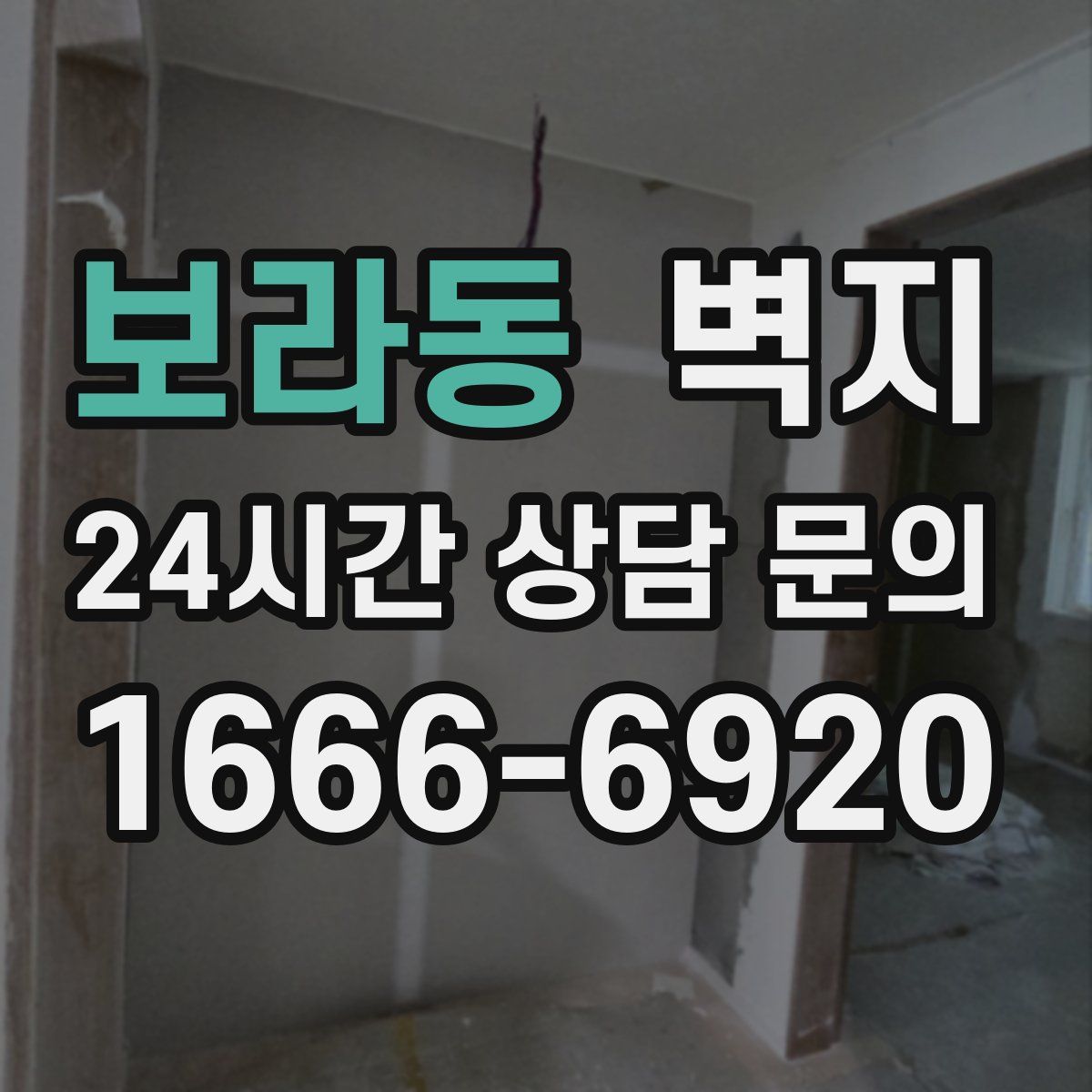 보라동 벽지