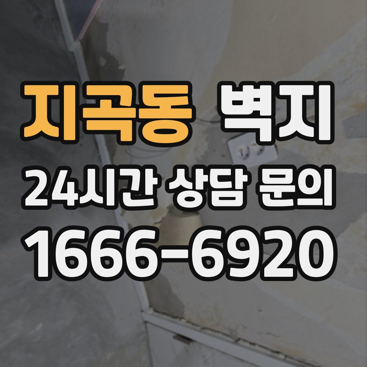 지곡동 벽지