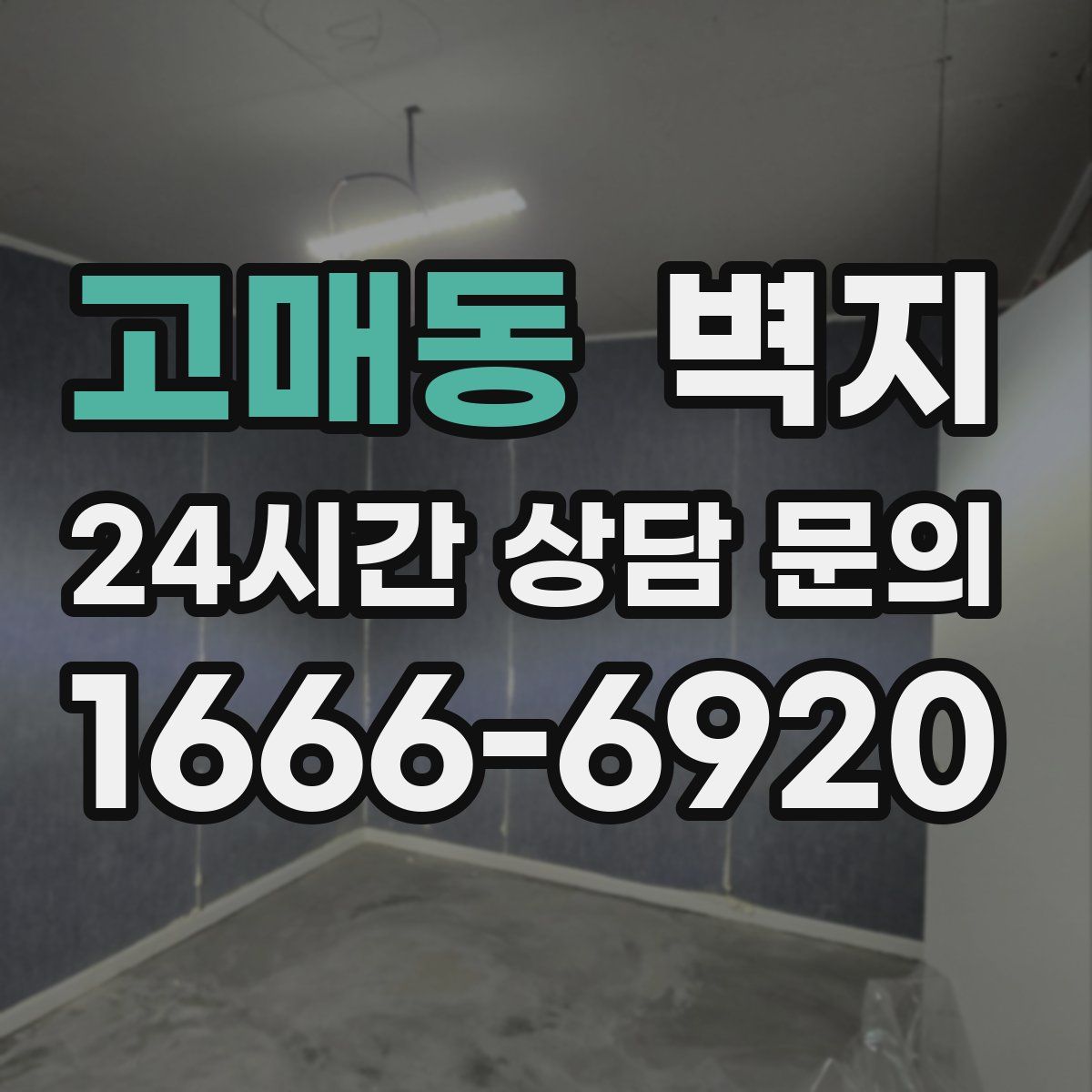 고매동 벽지