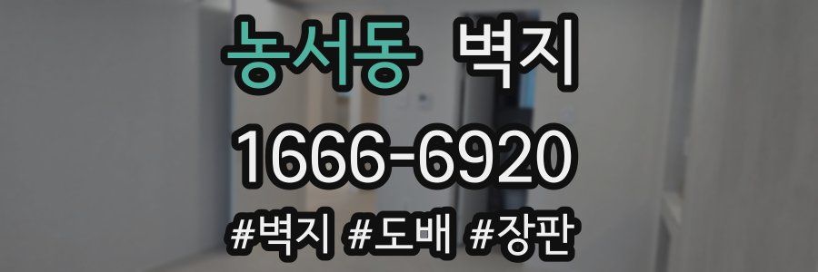 농서동 벽지