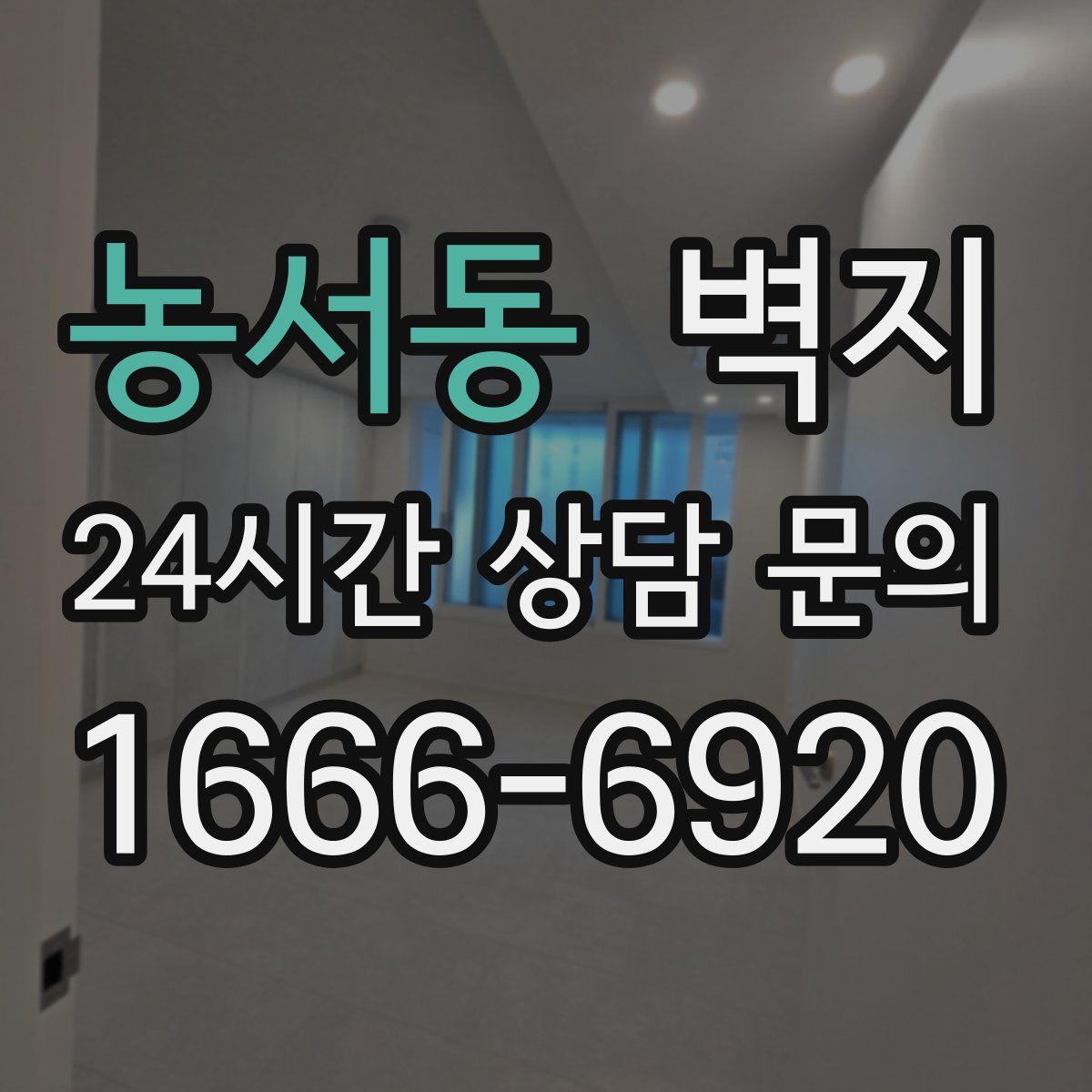 농서동 벽지