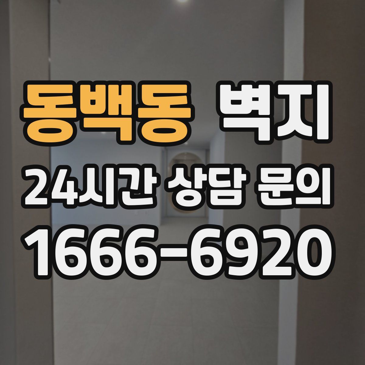동백동 벽지