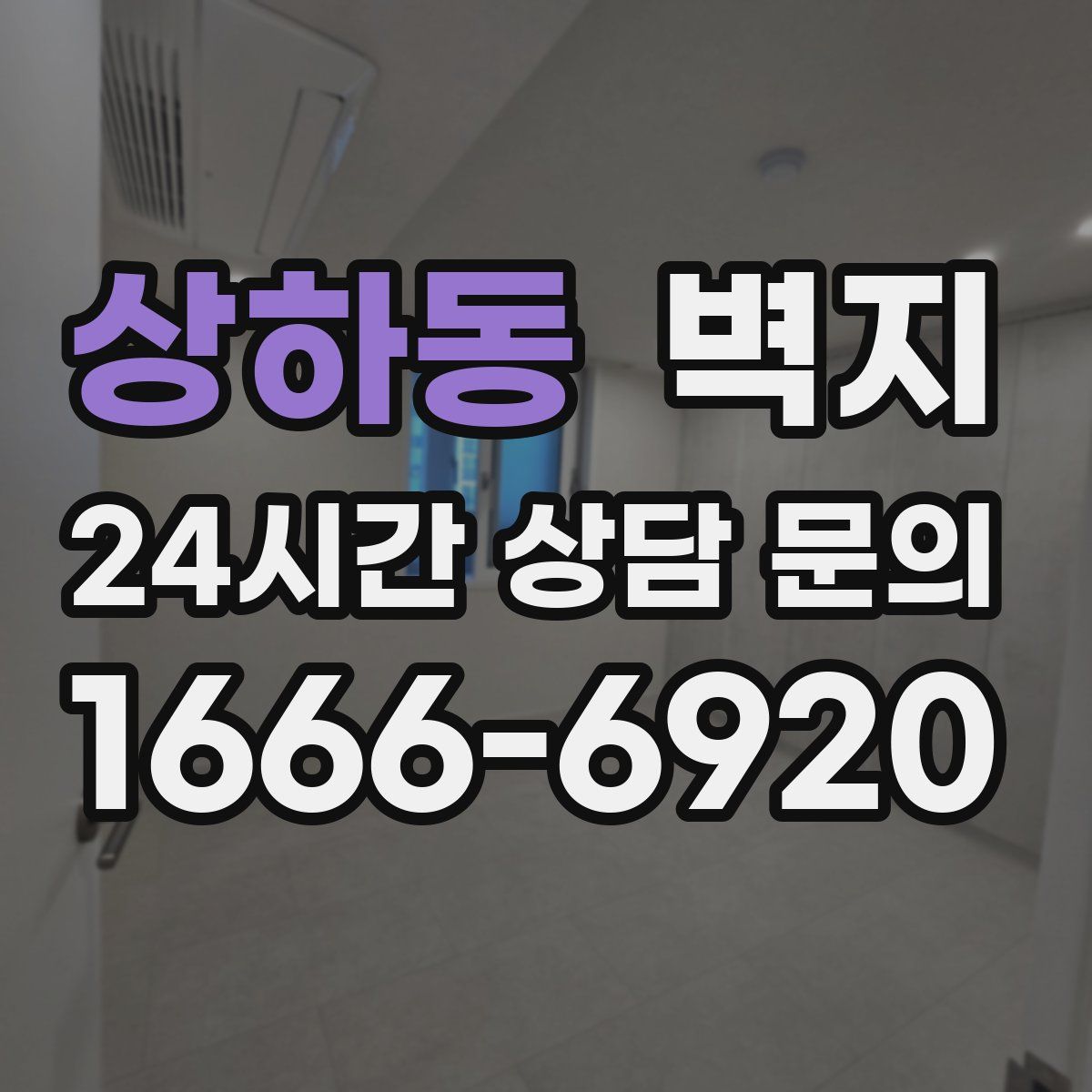 상하동 벽지