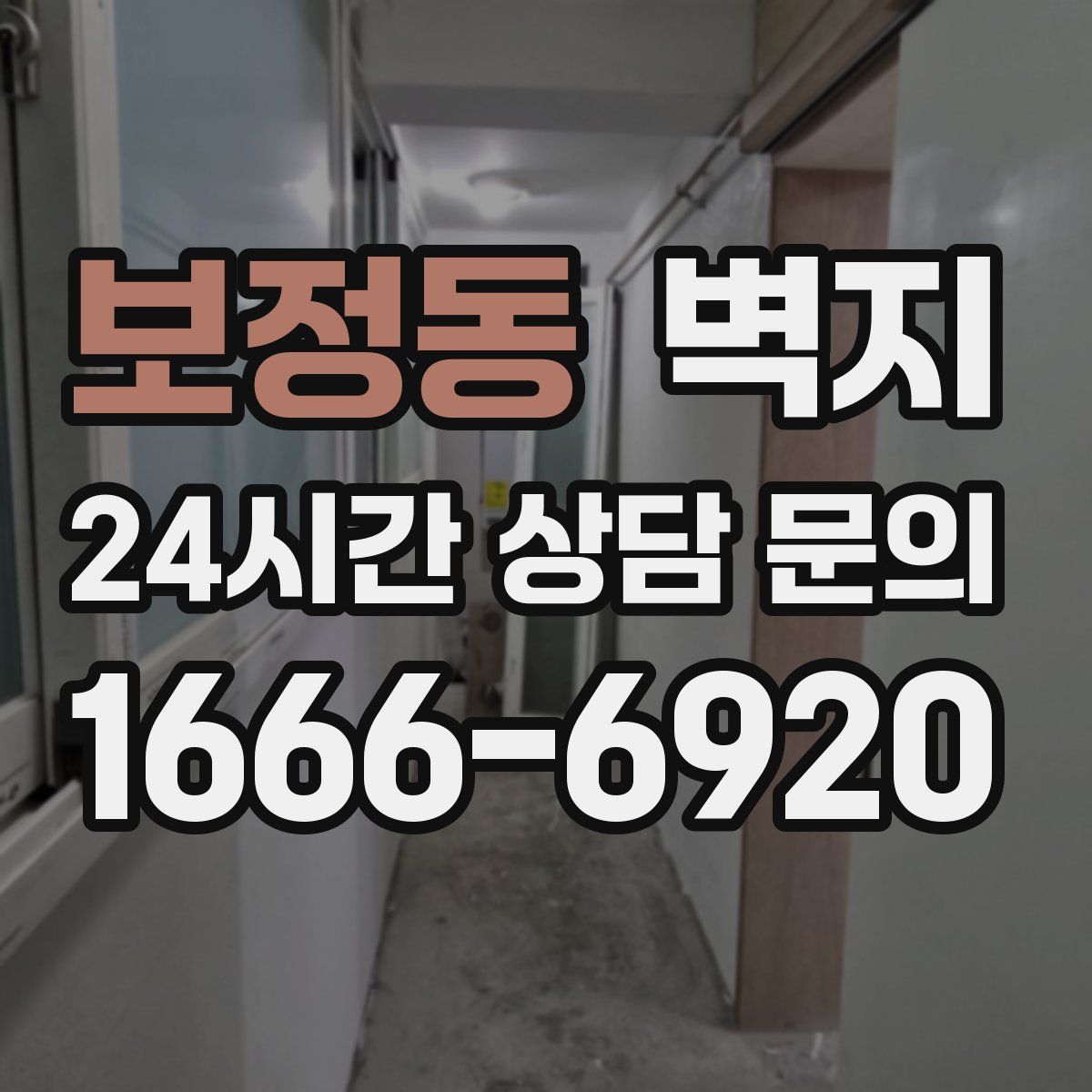 보정동 벽지