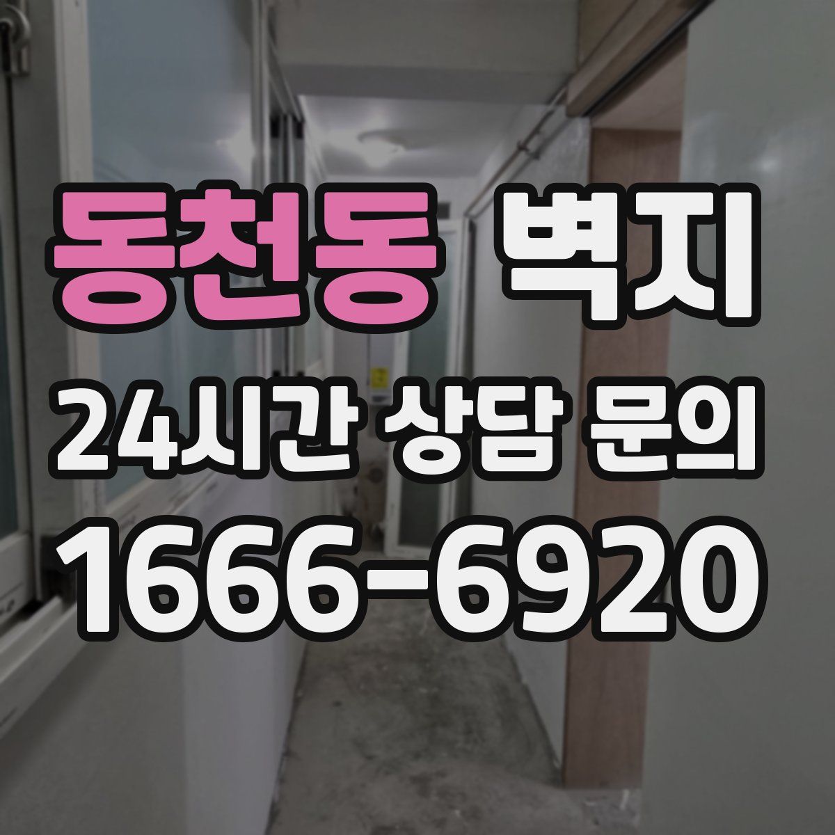 동천동 벽지