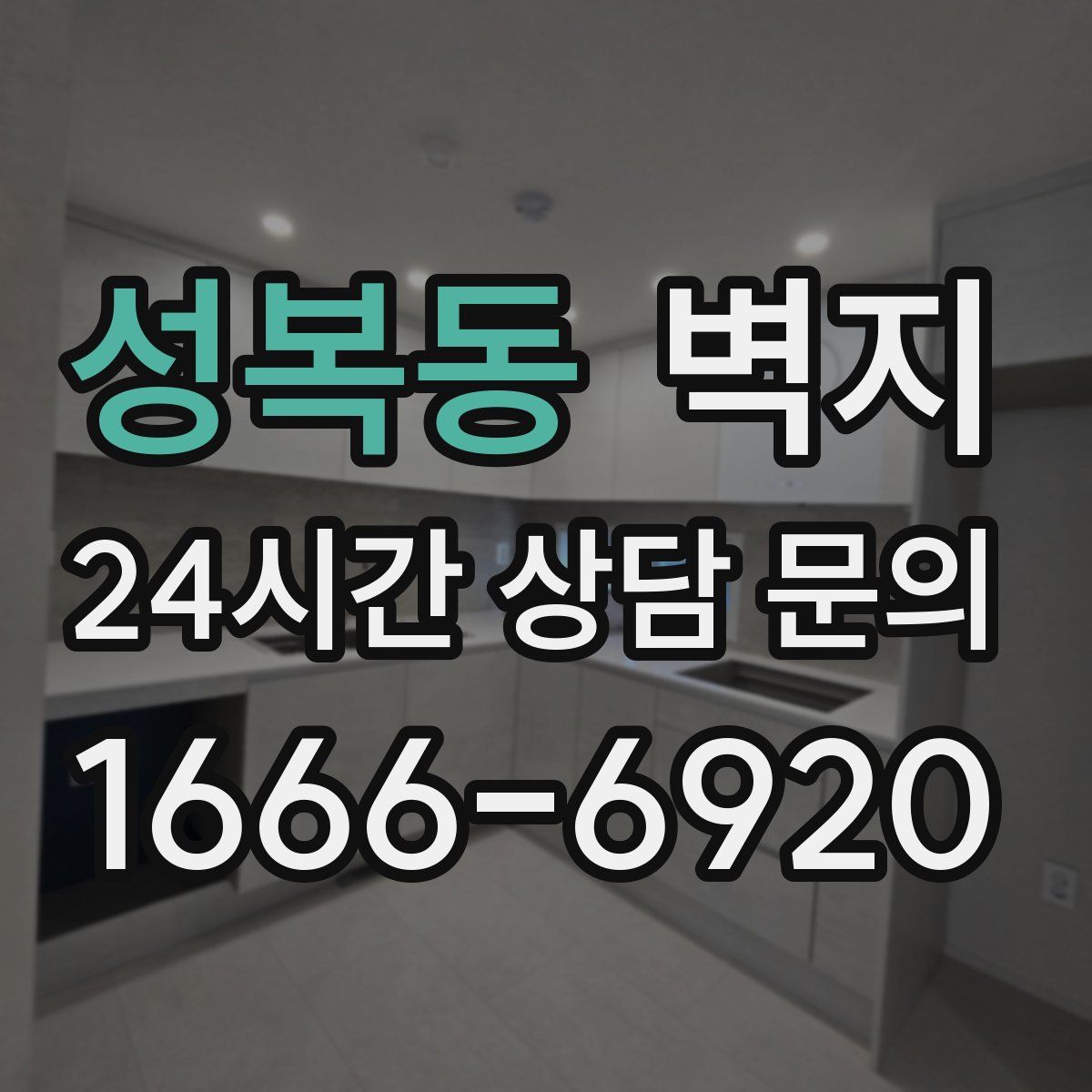 성복동 벽지