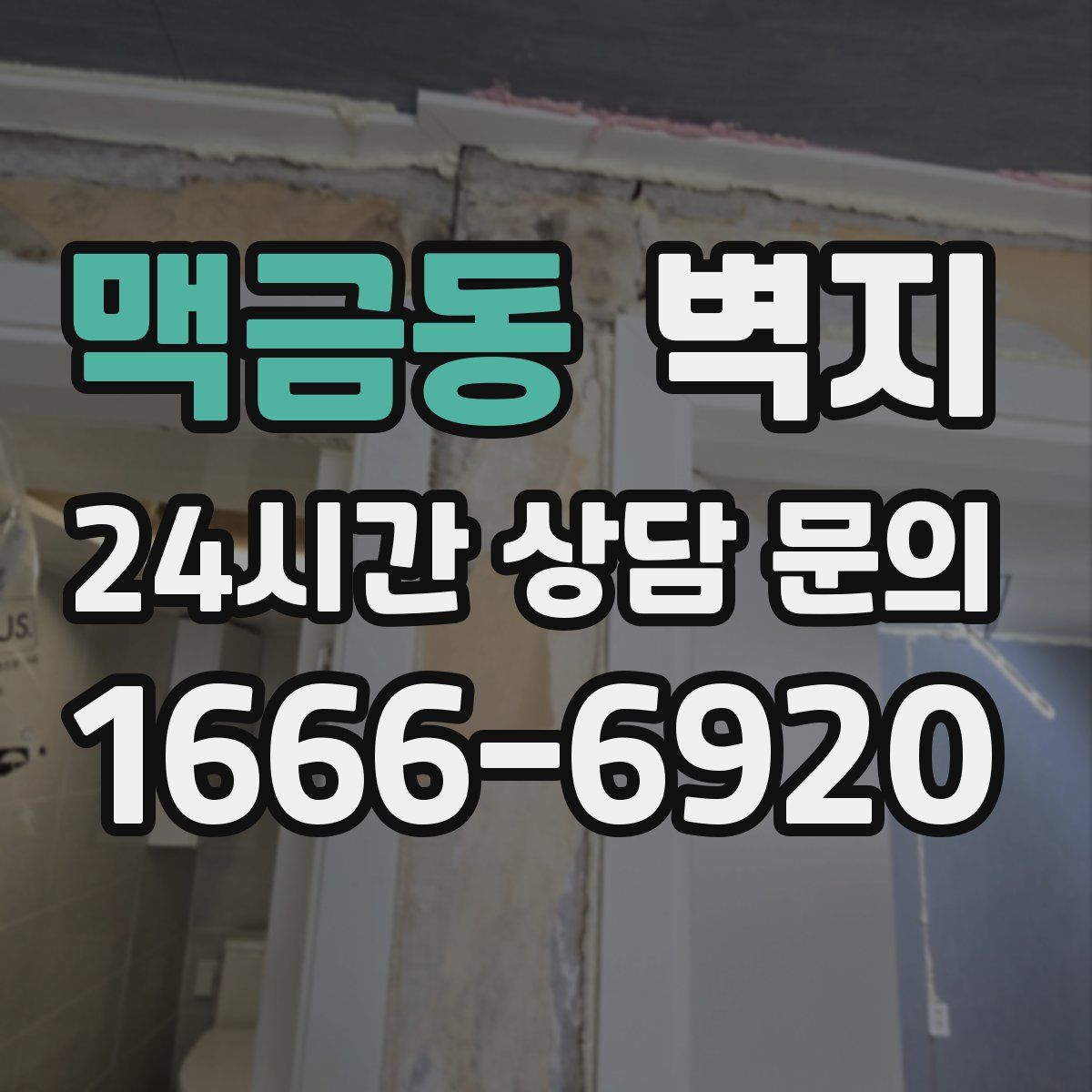 맥금동 벽지