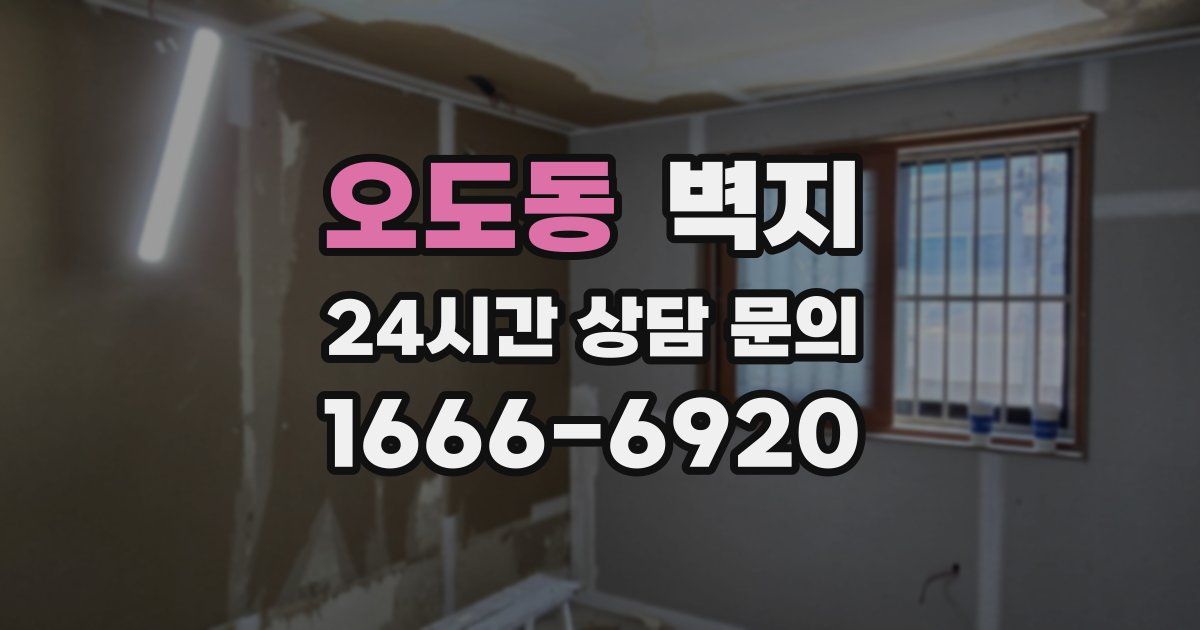 오도동 벽지