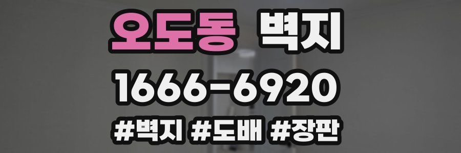 오도동 벽지