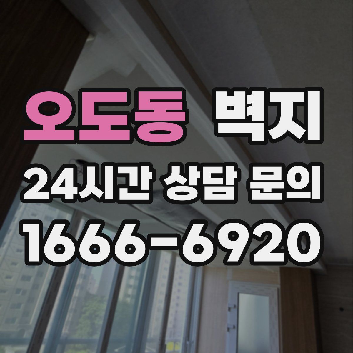 오도동 벽지