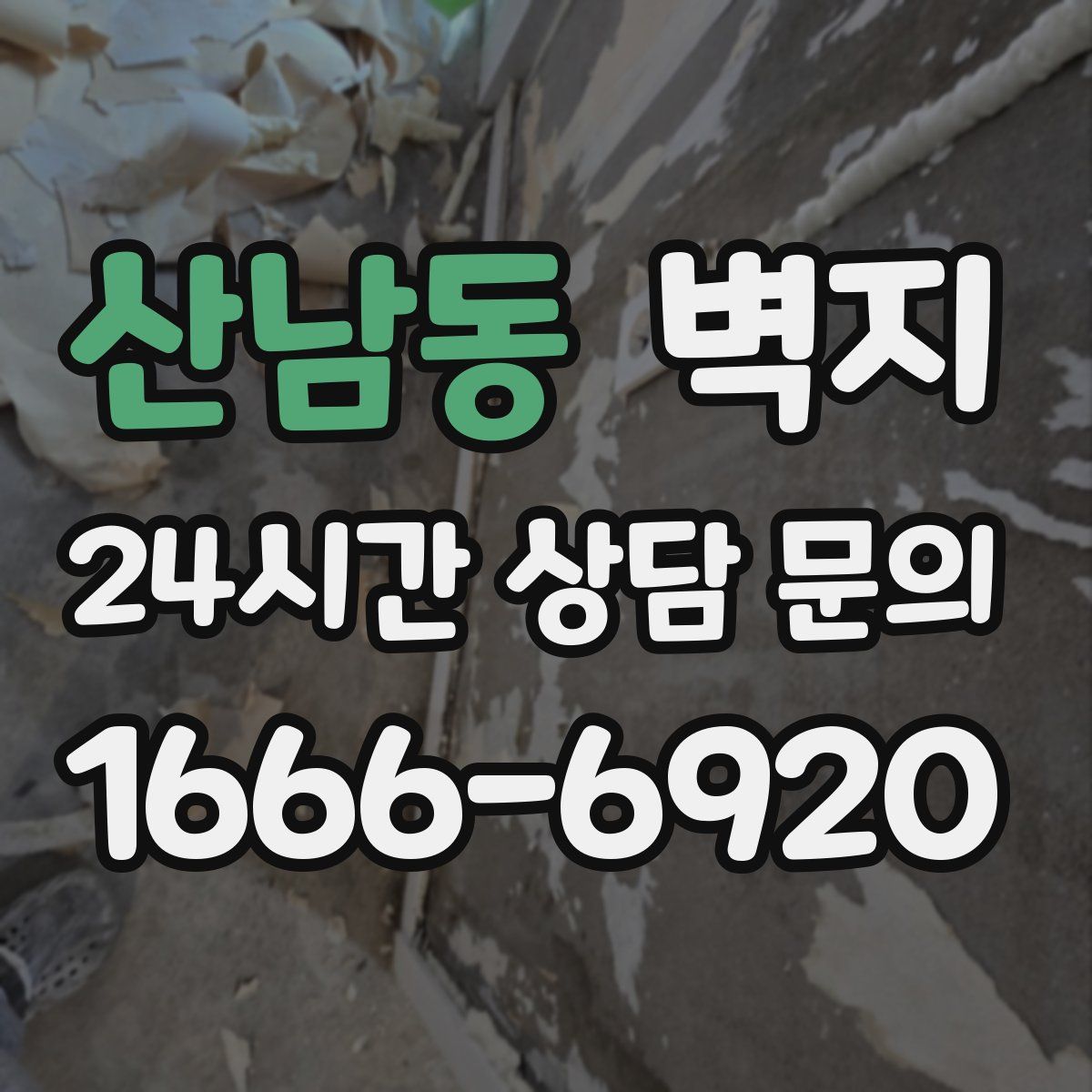 산남동 벽지