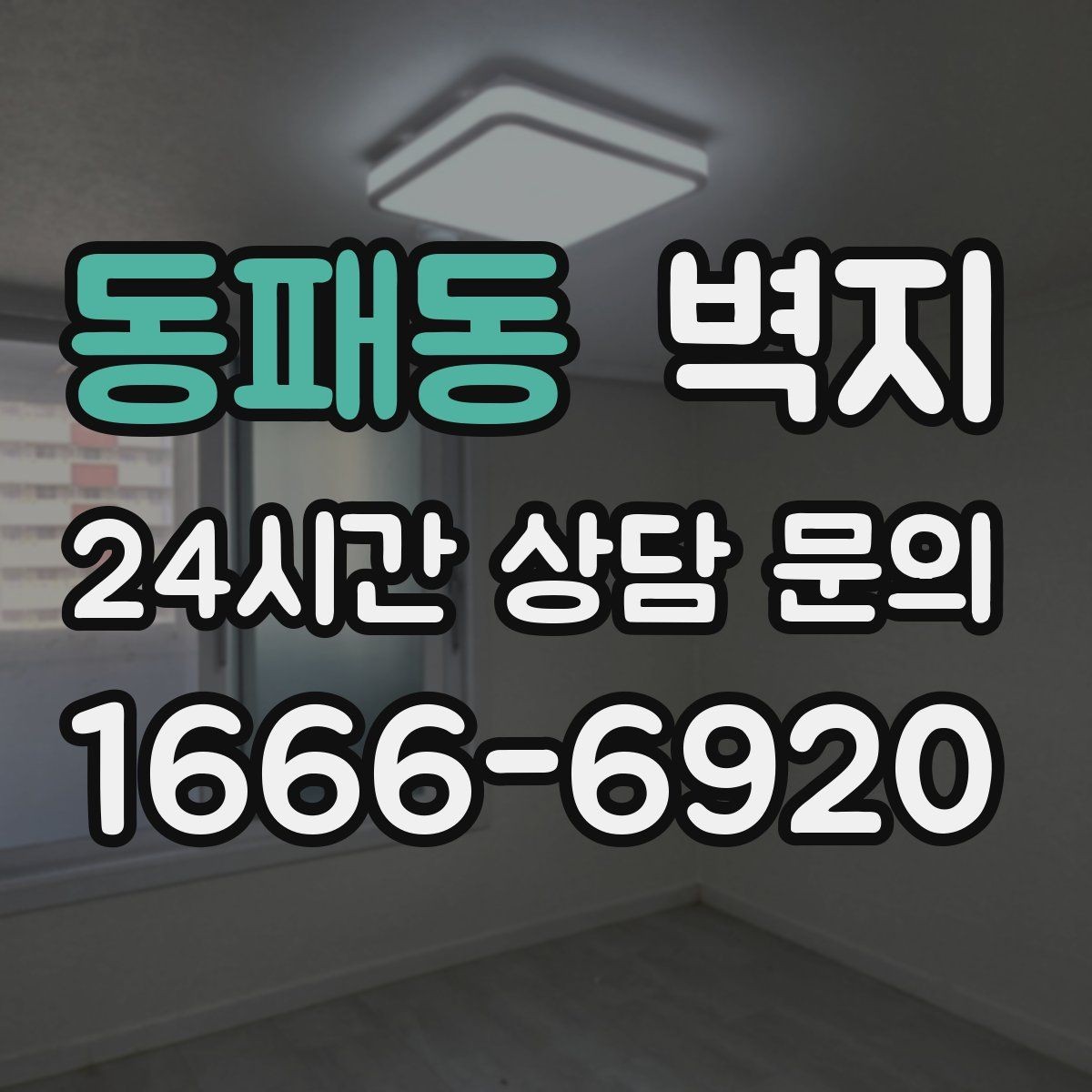 동패동 벽지 선택에 도움이 되는 실용 기준