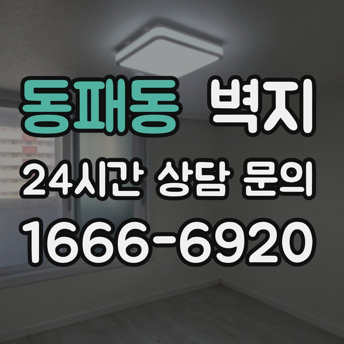 동패동 벽지