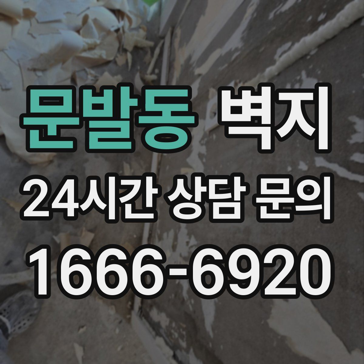 문발동 벽지