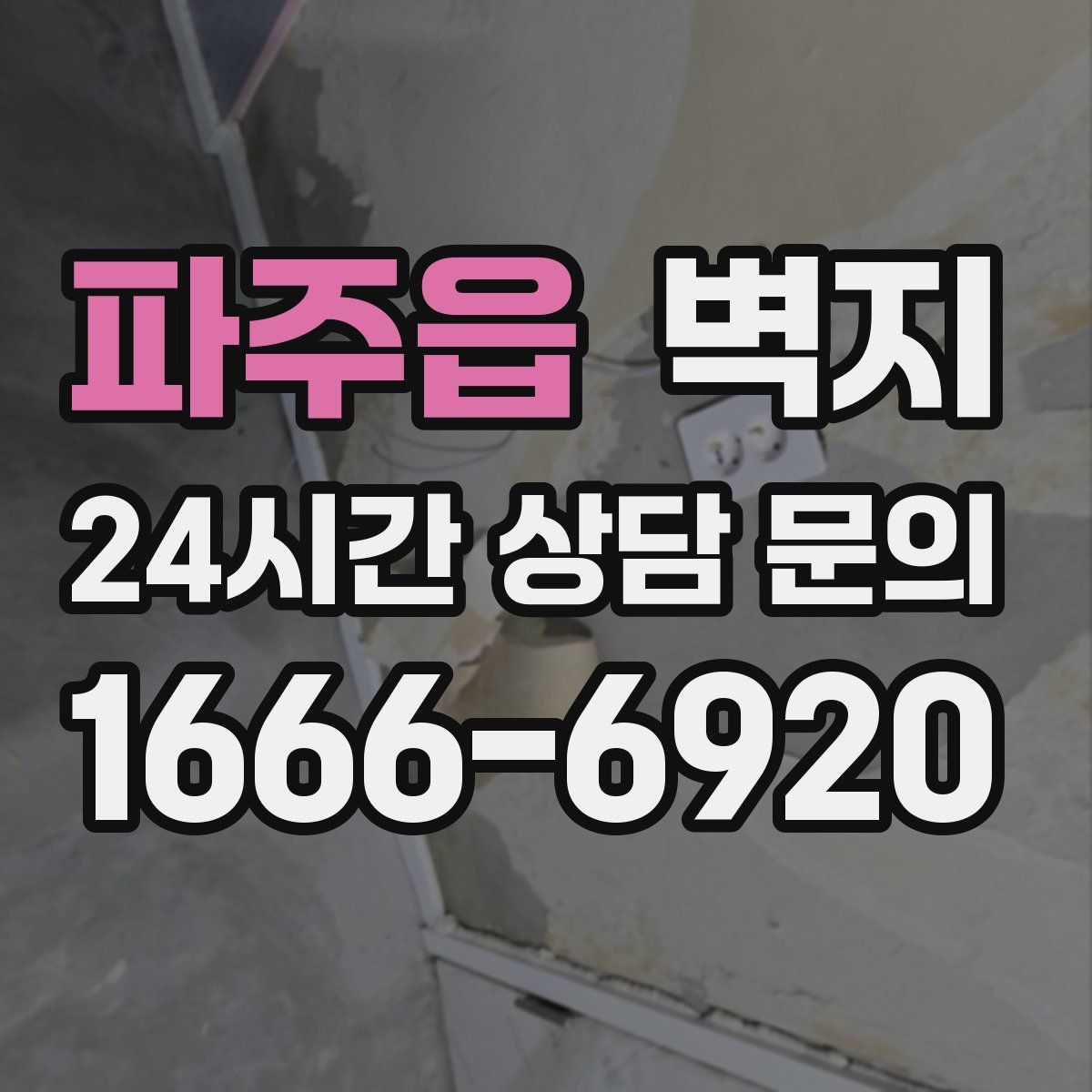 파주읍 벽지