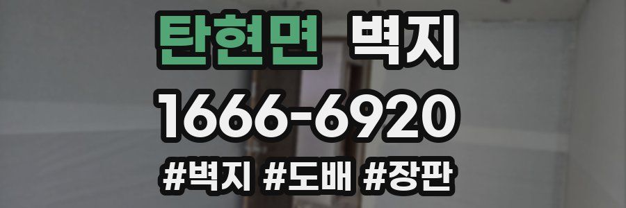 탄현면 벽지