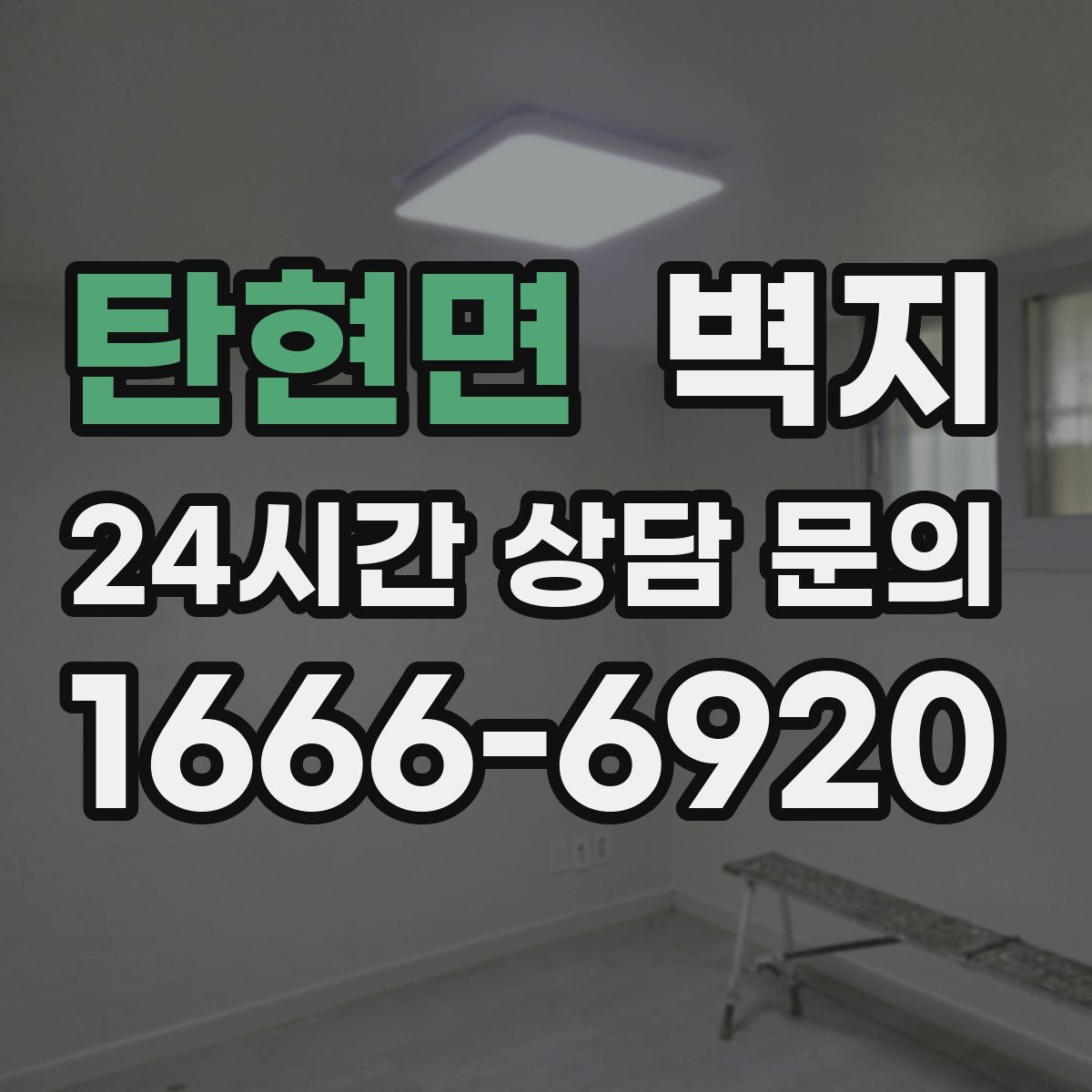 탄현면 벽지