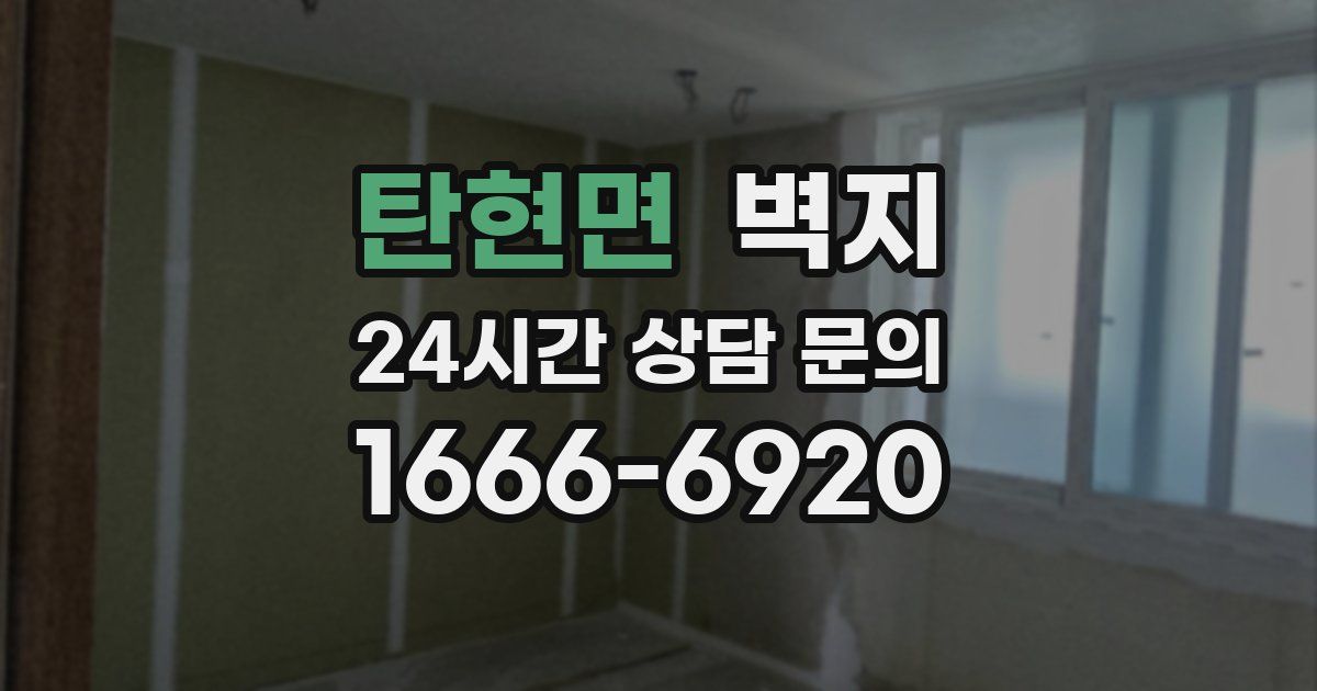 탄현면 벽지