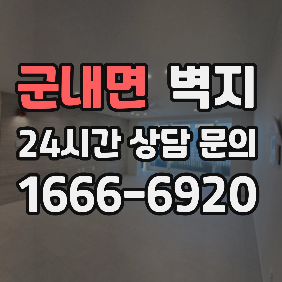 군내면 벽지