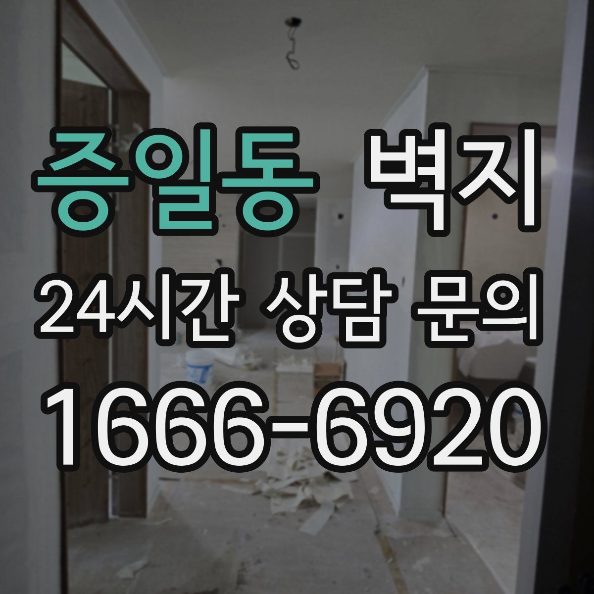 증일동 벽지
