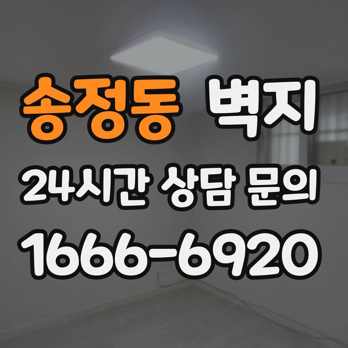 송정동 벽지