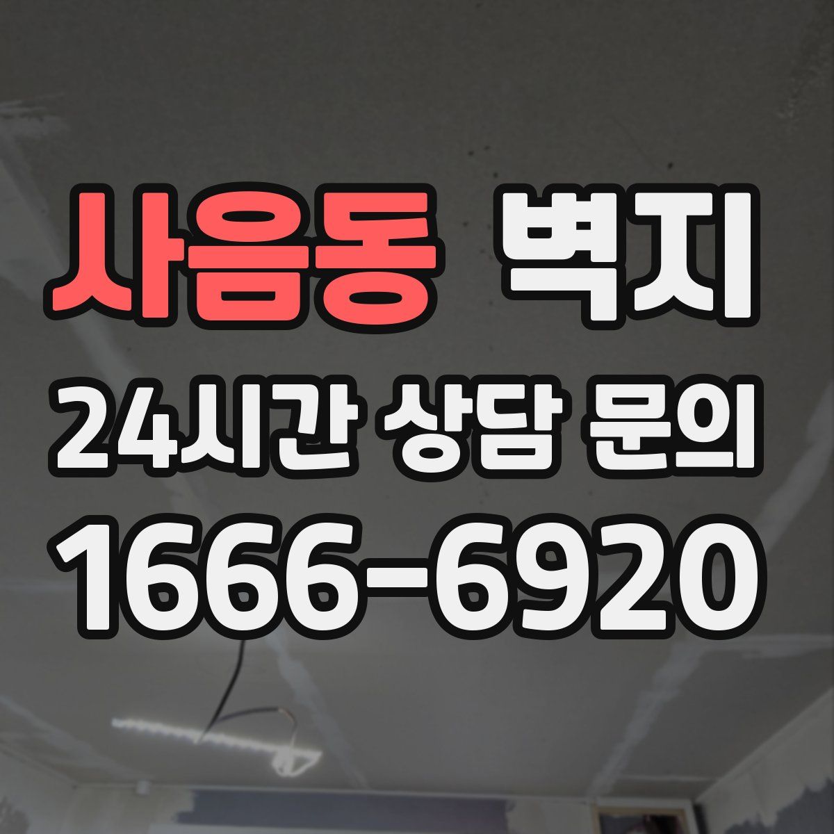 사음동 벽지