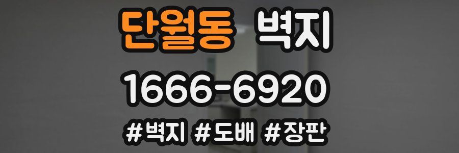 단월동 벽지