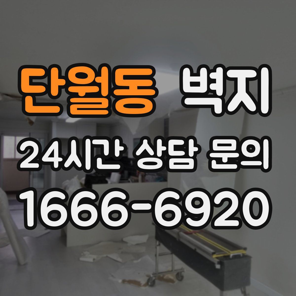 단월동 벽지