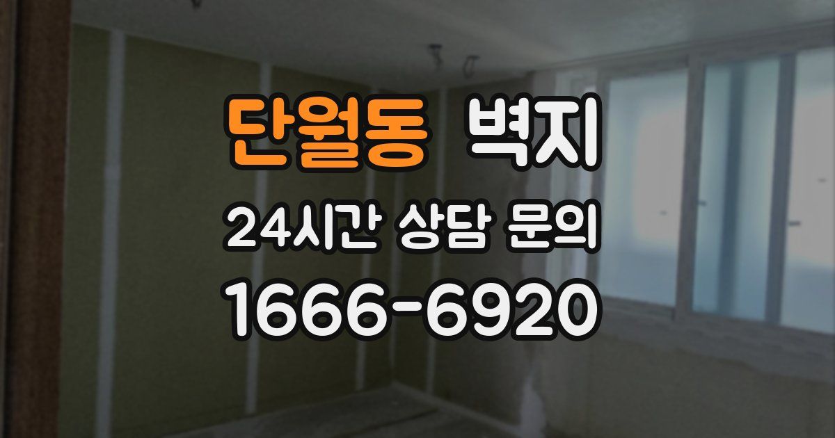 단월동 벽지