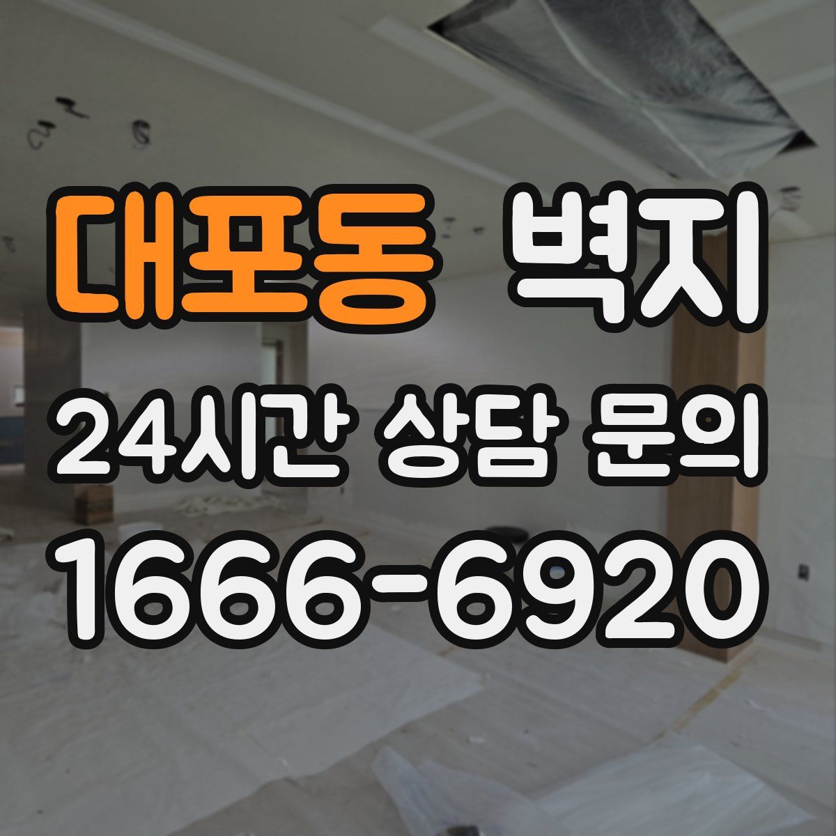 대포동 벽지