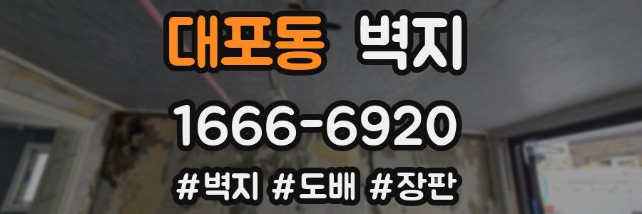 대포동 벽지