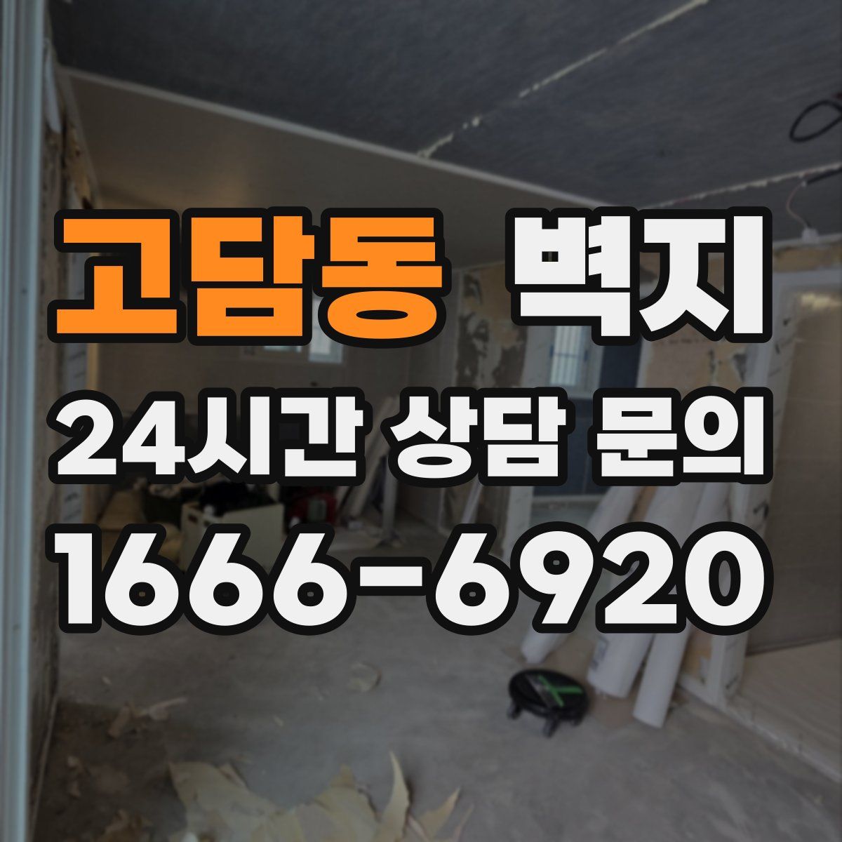 고담동 벽지
