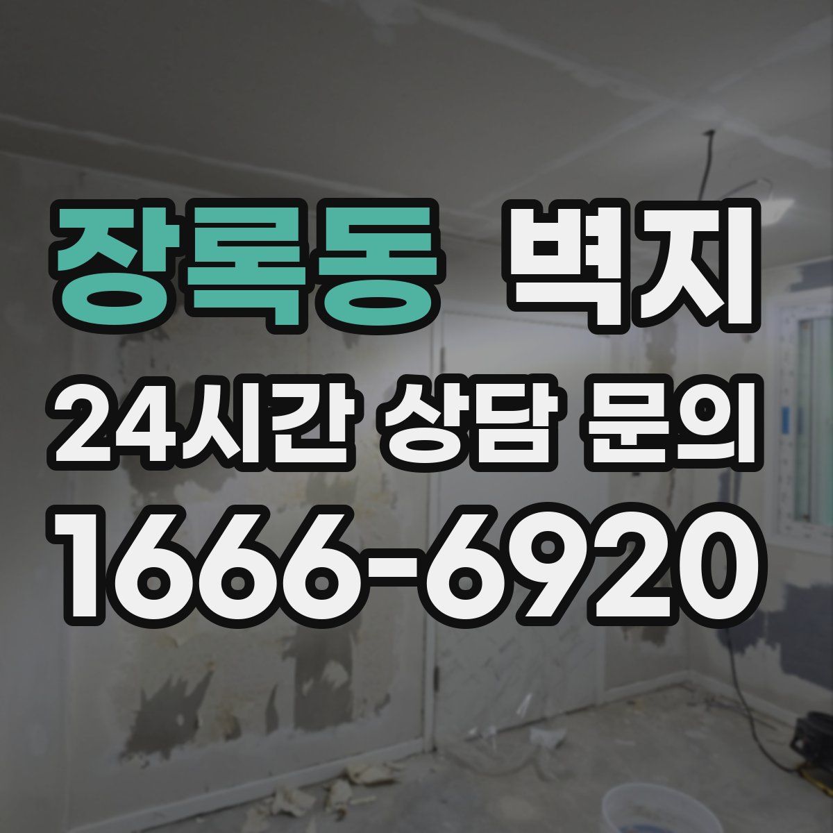 장록동 벽지