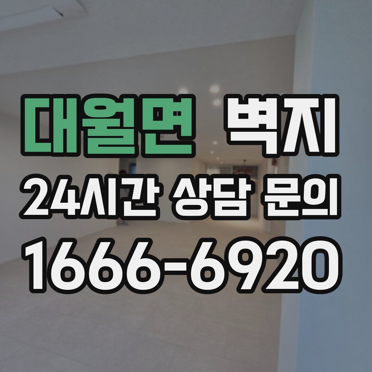 대월면 벽지