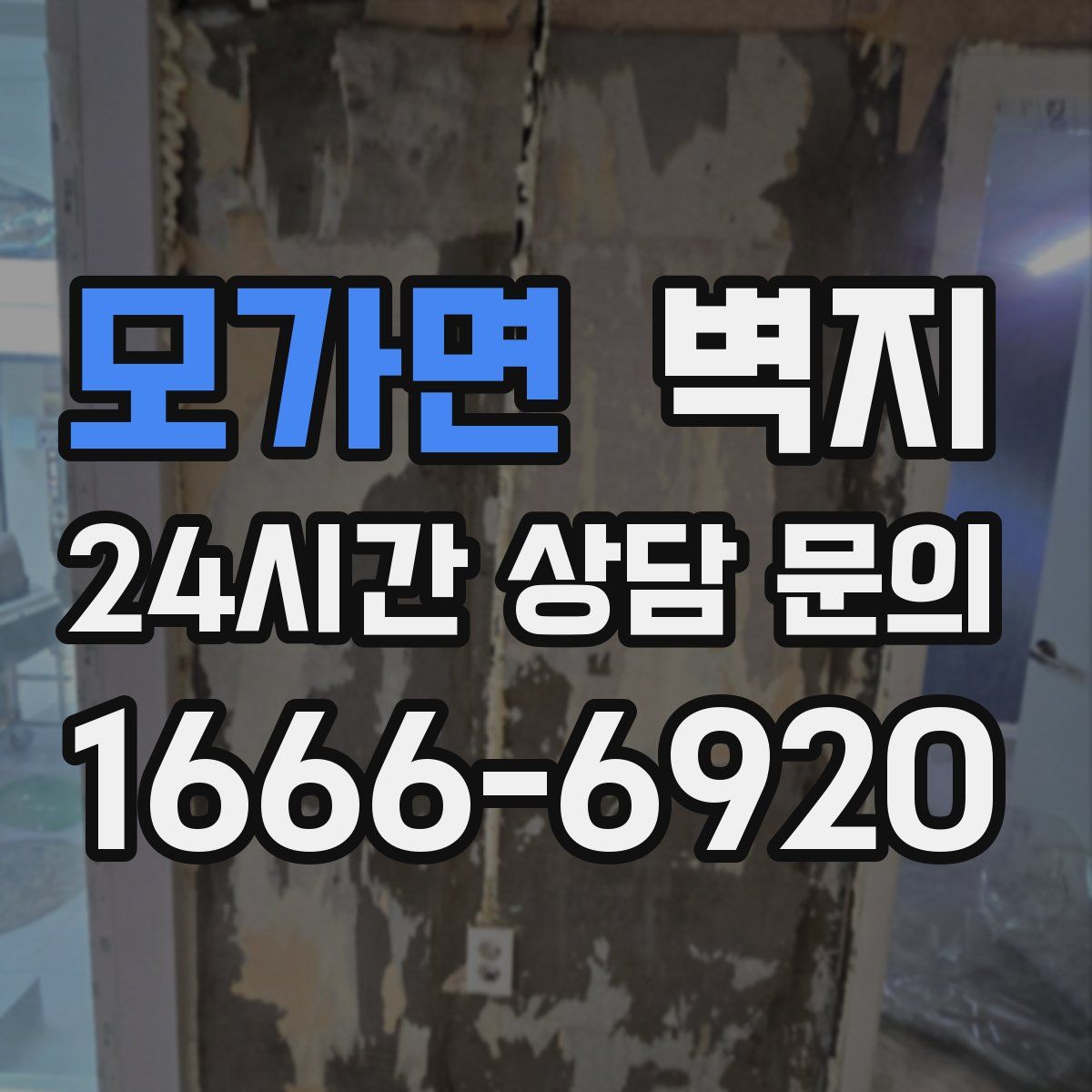 모가면 벽지
