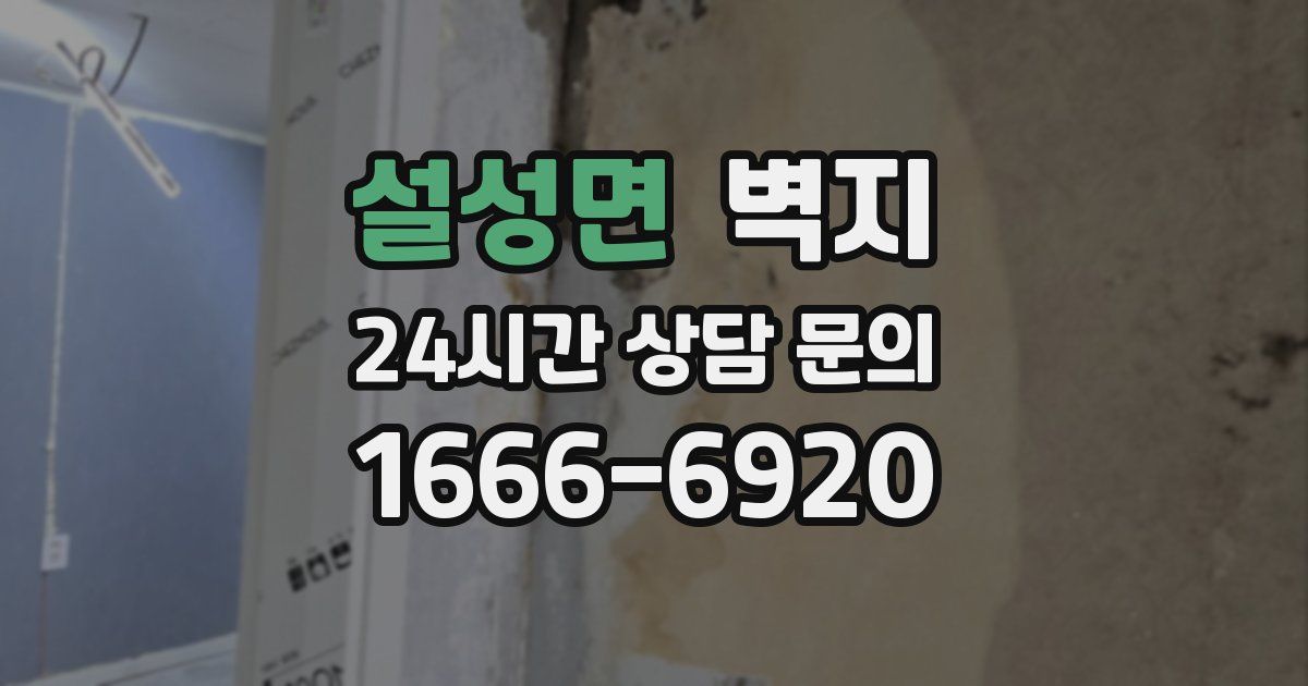 설성면 벽지