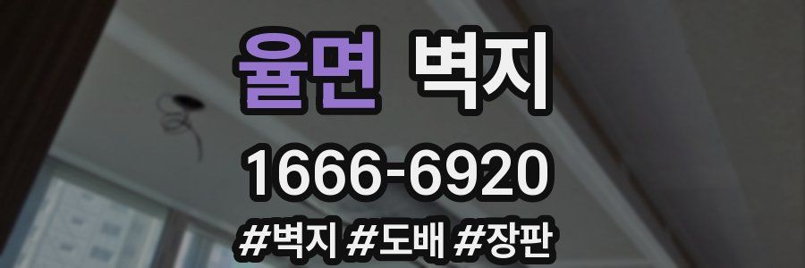 율면 벽지
