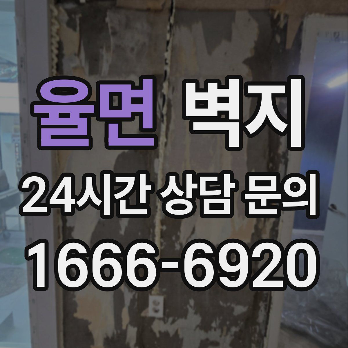 율면 벽지