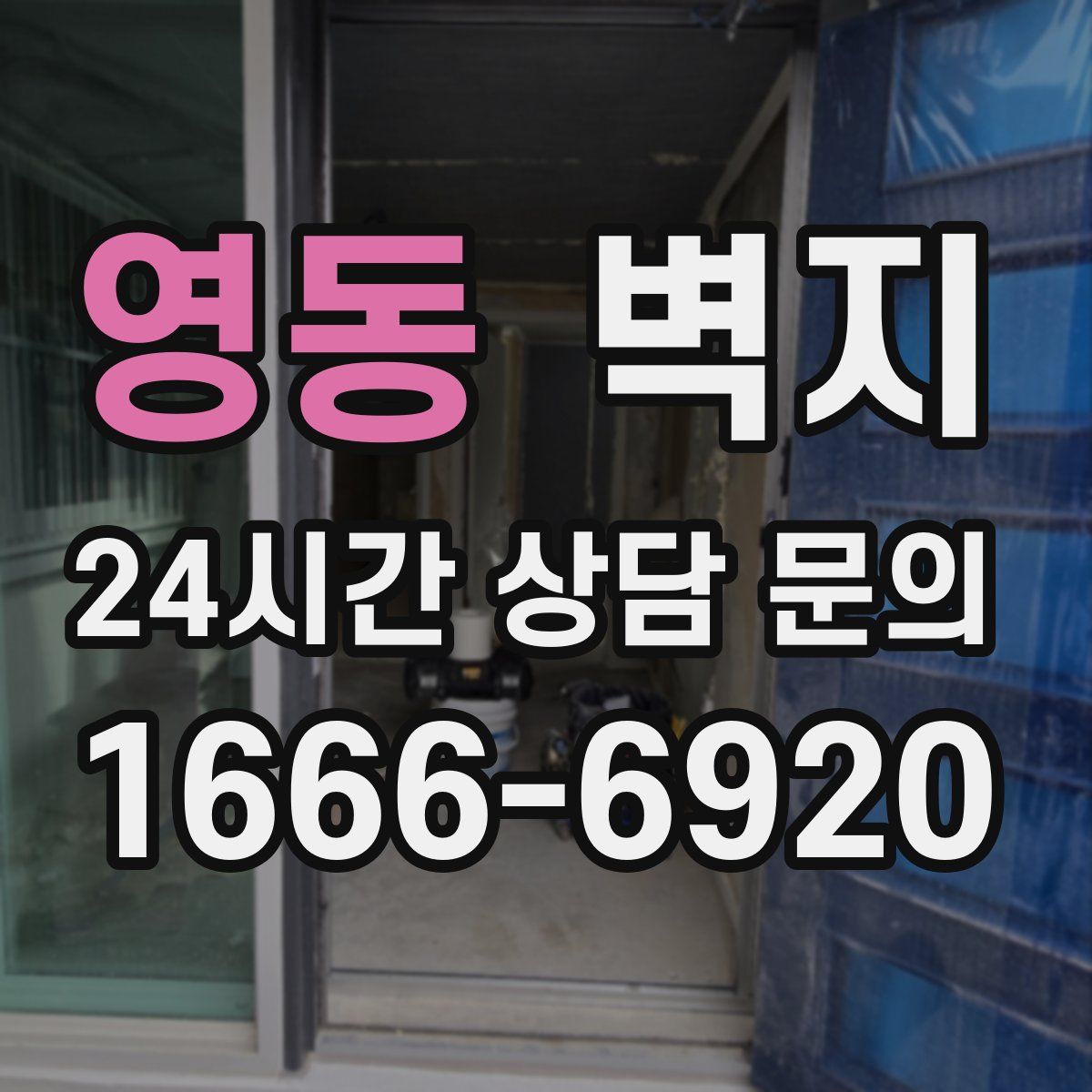 영동 벽지