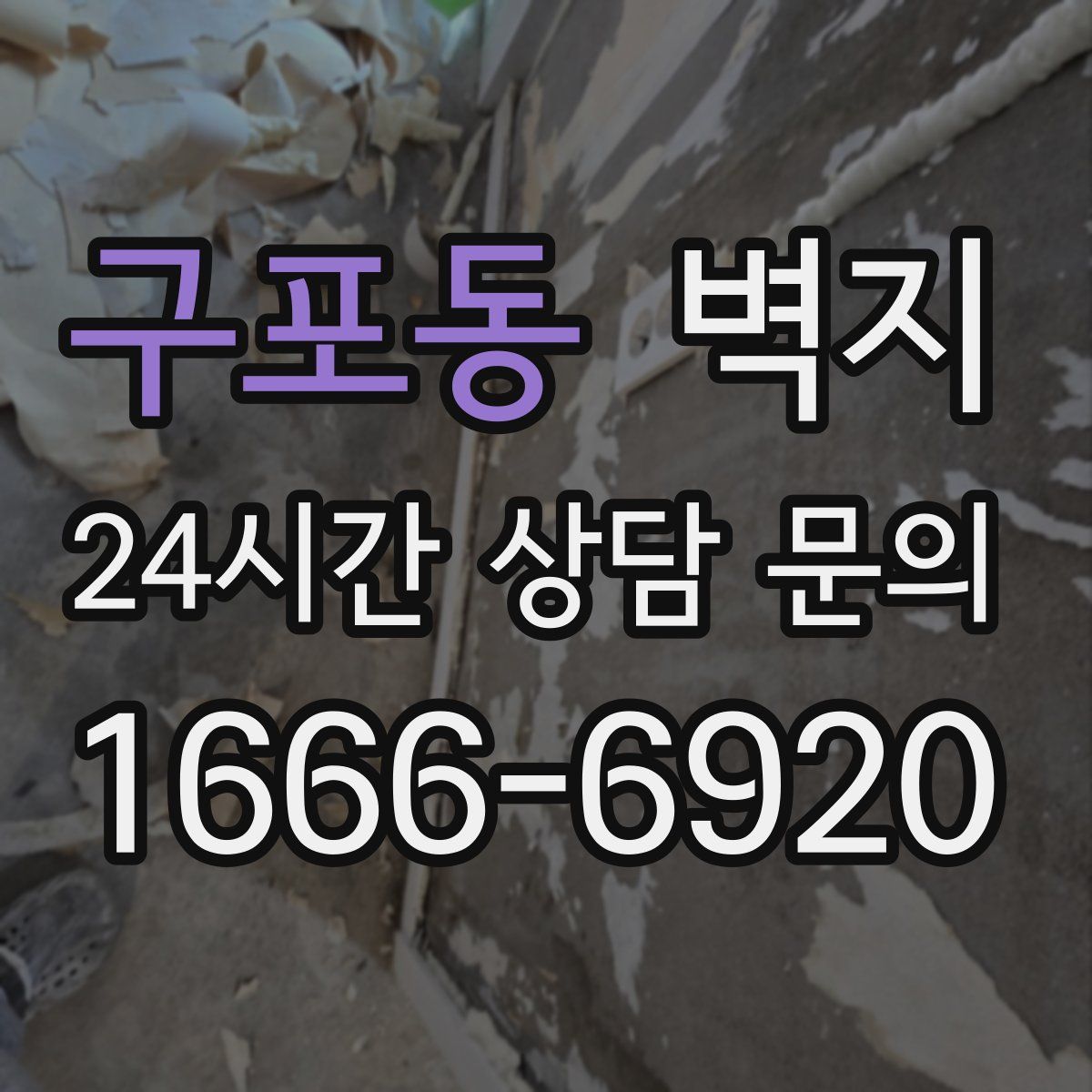 구포동 벽지
