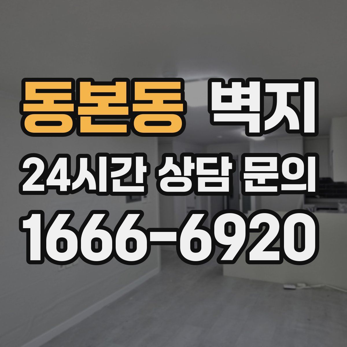 동본동 벽지