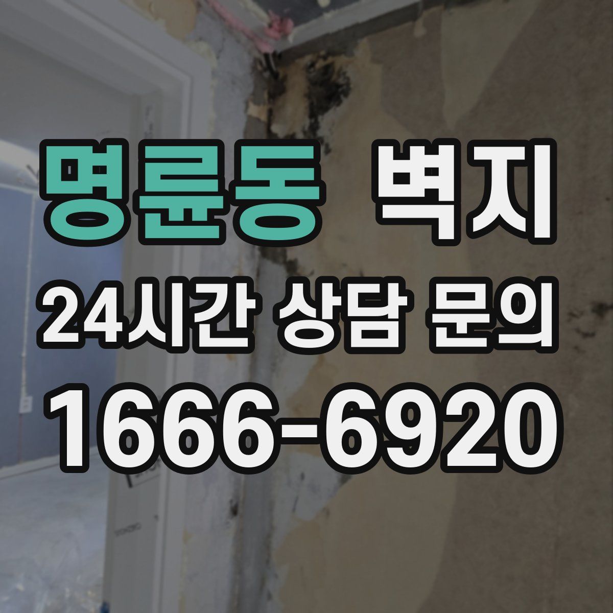 명륜동 벽지